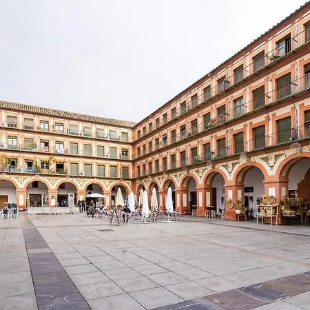 Plaza Corredera Pilar Fayos Apartment *